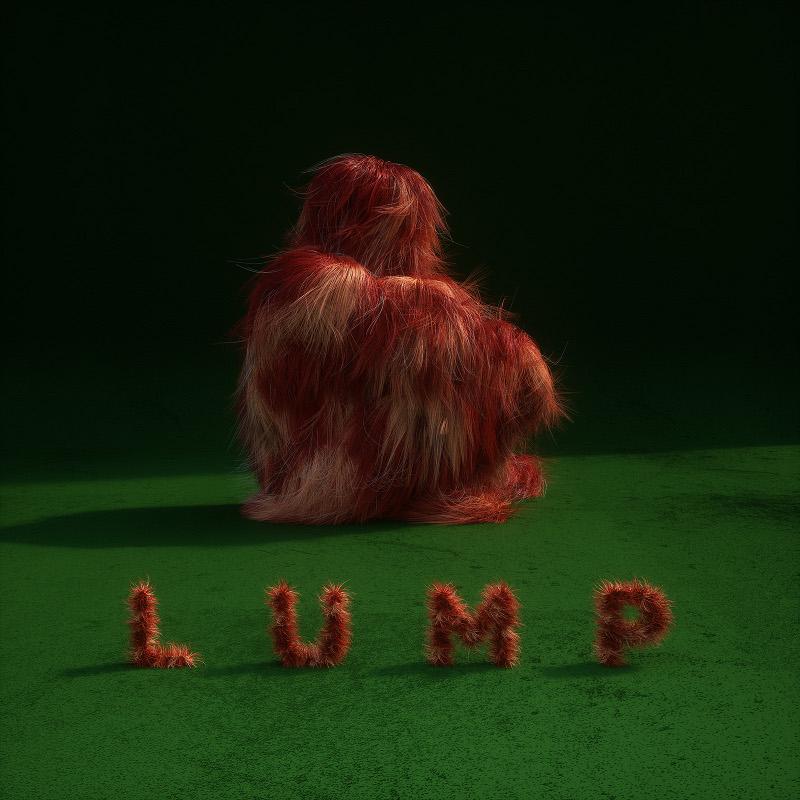 Cover of 'LUMP' - LUMP